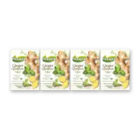 Pickwick Ginger goodness mint kruidenthee 4-pack