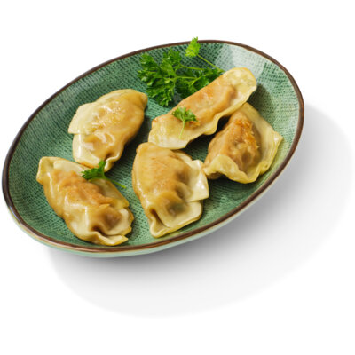 pdp-image-AH Terra Plantaardige gyoza's kip