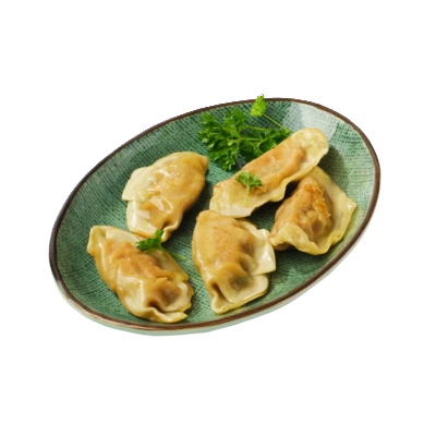 pdp-image-AH Terra Plantaardige gyoza's kip