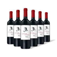 Finca Valdepiedra Cantos de rioja crianz 6 flessen