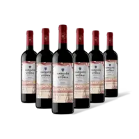 Marqués de Vitoria Rioja tempranillo 6 flessen