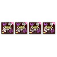 Holie's Crunchy bar protein peanut choco 4-pack