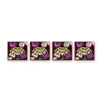 Holie's Crunchy bar protein peanut choco 4-pack