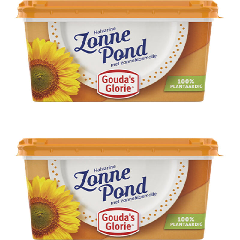 Een afbeelding van Gouda's Glorie Zonnepond 2-pack