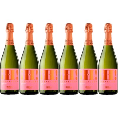 pdp-image-Hola! Cava Brut Pink Bio 6 flessen