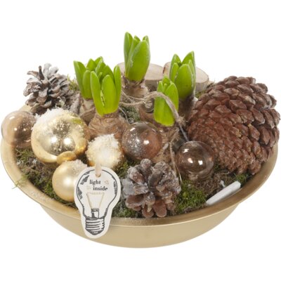 pdp-image-AH Kerstarr. zinken schaal