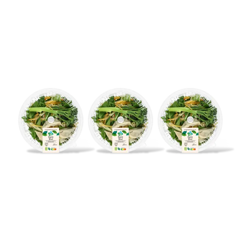 AH Terra Plantaardig stoommaaltijd gyoza bowl 3pk