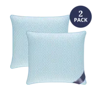 Ten Cate 2x airpillow hoofdkussen 60 x 70cm