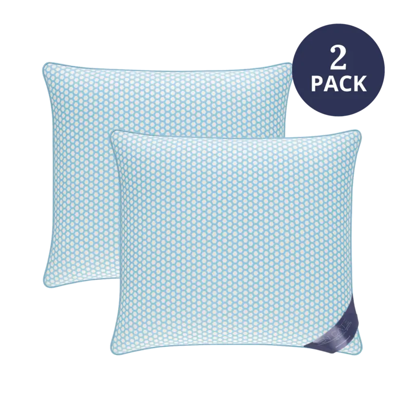 Ten Cate 2x airpillow hoofdkussen 60 x 70cm