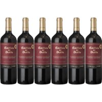 Een afbeelding van Casillero del Diablo  Reserva especial cabernet sau 6 flessen