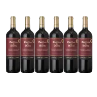 Casillero del Diablo Reserva especial cabernet sau 6 flessen