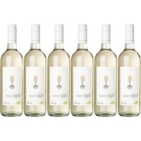 Een afbeelding van AH Biologisch Pinot grigio 6 flessen