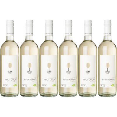 pdp-image-AH Biologisch Pinot grigio 6 flessen
