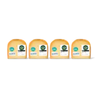 AH Zaanlander Oud 48+ stuk klein 4-pack