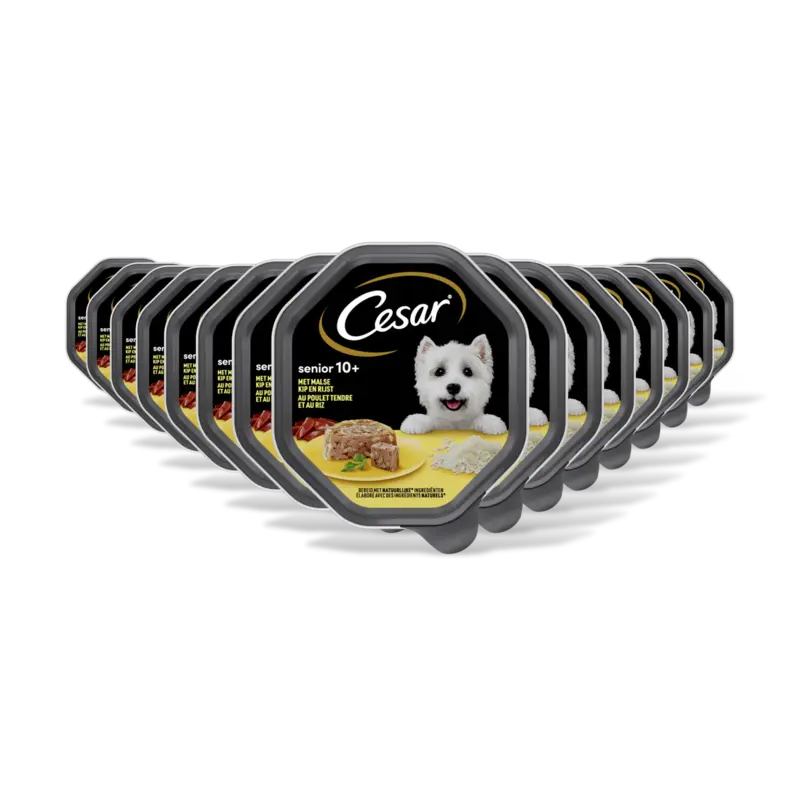 Senior met malse kip en rijst 15-pack