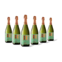 Hola! Barcelona organic brut cava 6 flessen
