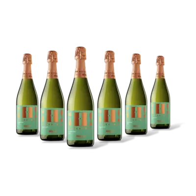 pdp-image-Hola! Barcelona organic brut cava 6 flessen