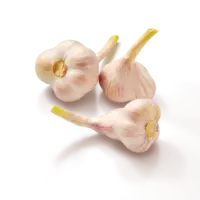 AH Verse knoflook