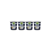 Campina High protein Greek yoghurt 5% fat 4-pack