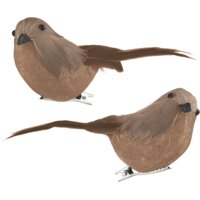 Een afbeelding van AH Excellent Vogeltjes op clip bruin