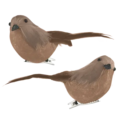 pdp-image-AH Excellent Vogeltjes op clip bruin