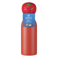 AH RVS fles aardbei