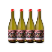Santa Julia El Zorrito 4 flessen