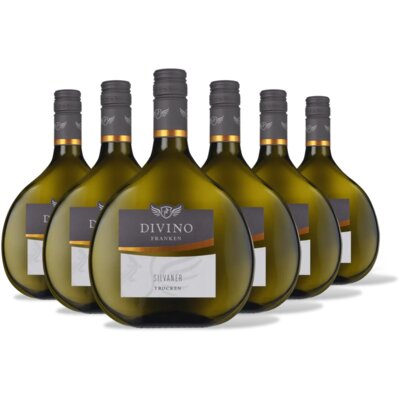 pdp-image-Divino Nordheim silvaner trocken 6 flessen