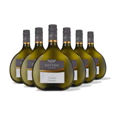 pdp-image-Divino Nordheim silvaner trocken 6 flessen