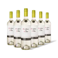Casillero del Diablo blanc reserva 6 flessen