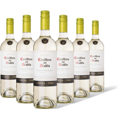 pdp-image-Casillero del Diablo blanc reserva 6 flessen