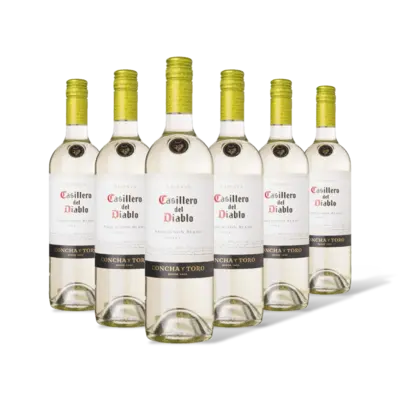 pdp-image-Casillero del Diablo blanc reserva 6 flessen