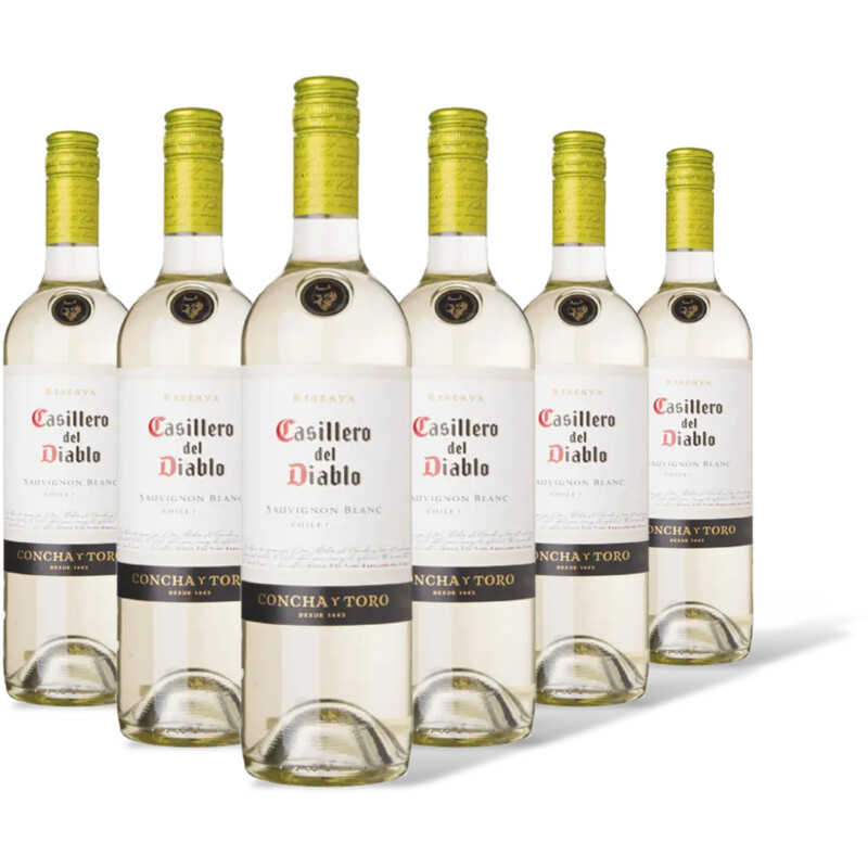 Casillero del Diablo blanc reserva 6 flessen