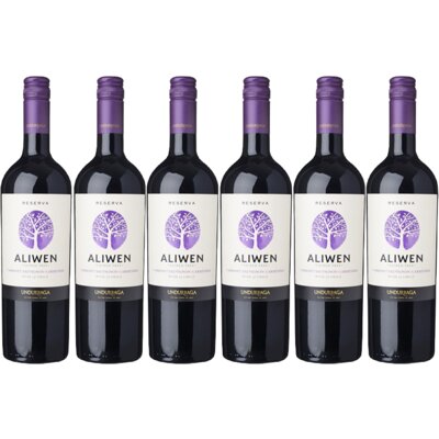 pdp-image-Aliwen Cabernet sauvignon carménère 6 flessen