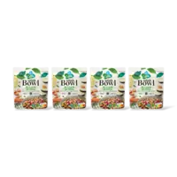 AH Salade bowl bulgur quinoa 4-pack