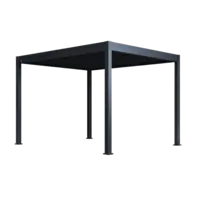 Orion Neo terrasoverkapping 300x360cm