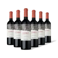 Coyam Rood organic wine 6 flessen