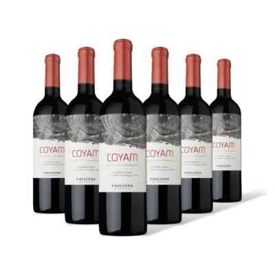 pdp-image-Coyam Rood organic wine 6 flessen