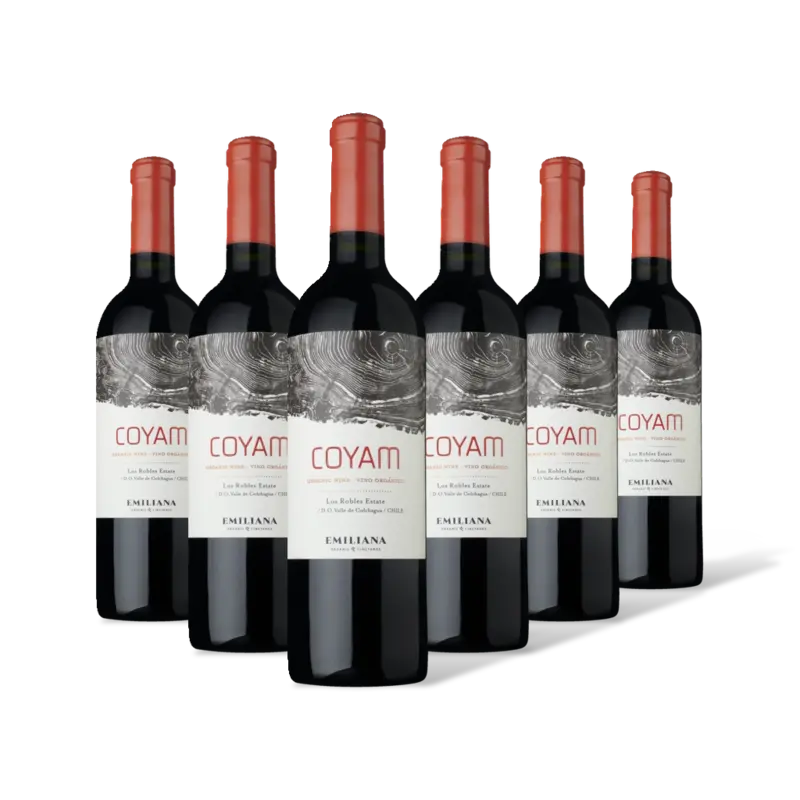Rood organic wine 6 flessen