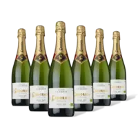 Codorníu Clasico semi sec organic 6 flessen