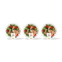 AH Stoommaaltijd zalm roomsaus 3-pack