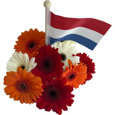 pdp-image-AH Koningsdagmix