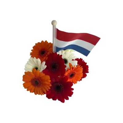 pdp-image-AH Koningsdagmix