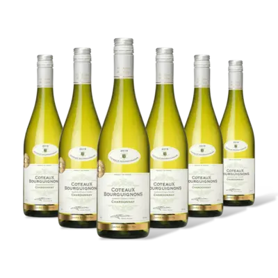 pdp-image-AH Excellent coteaux bourguignons 6 flessen