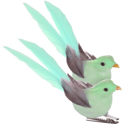 pdp-image-AH Vogels op clip groen