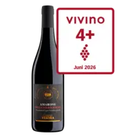 Terre di Verona Amarone