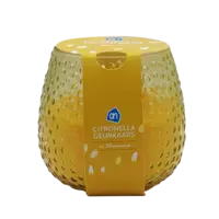 AH Citronella geurkaars