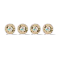 AH Roomkaas zalm dip 4-pack