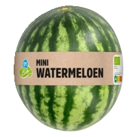 AH Biologisch Mini watermeloen