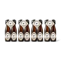 Brouwerij 't IJ IJwit 16pack